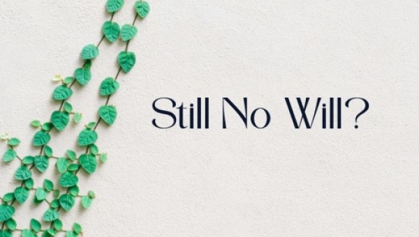 Still no Will?